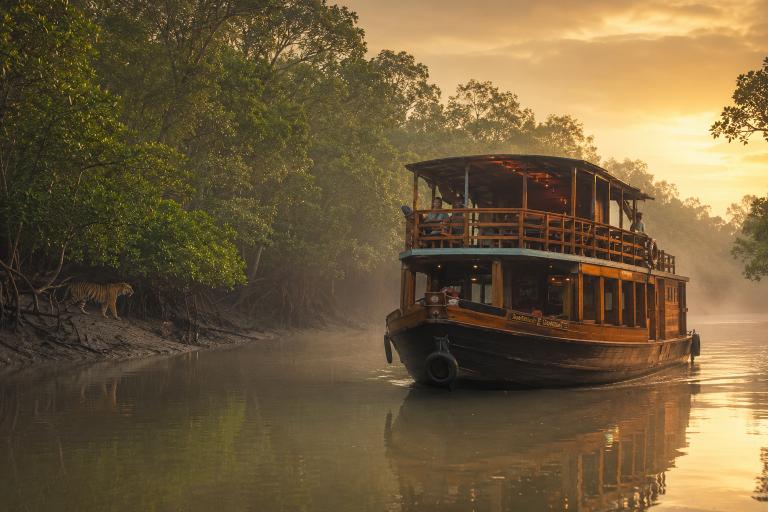 Sundarbans TravoWay