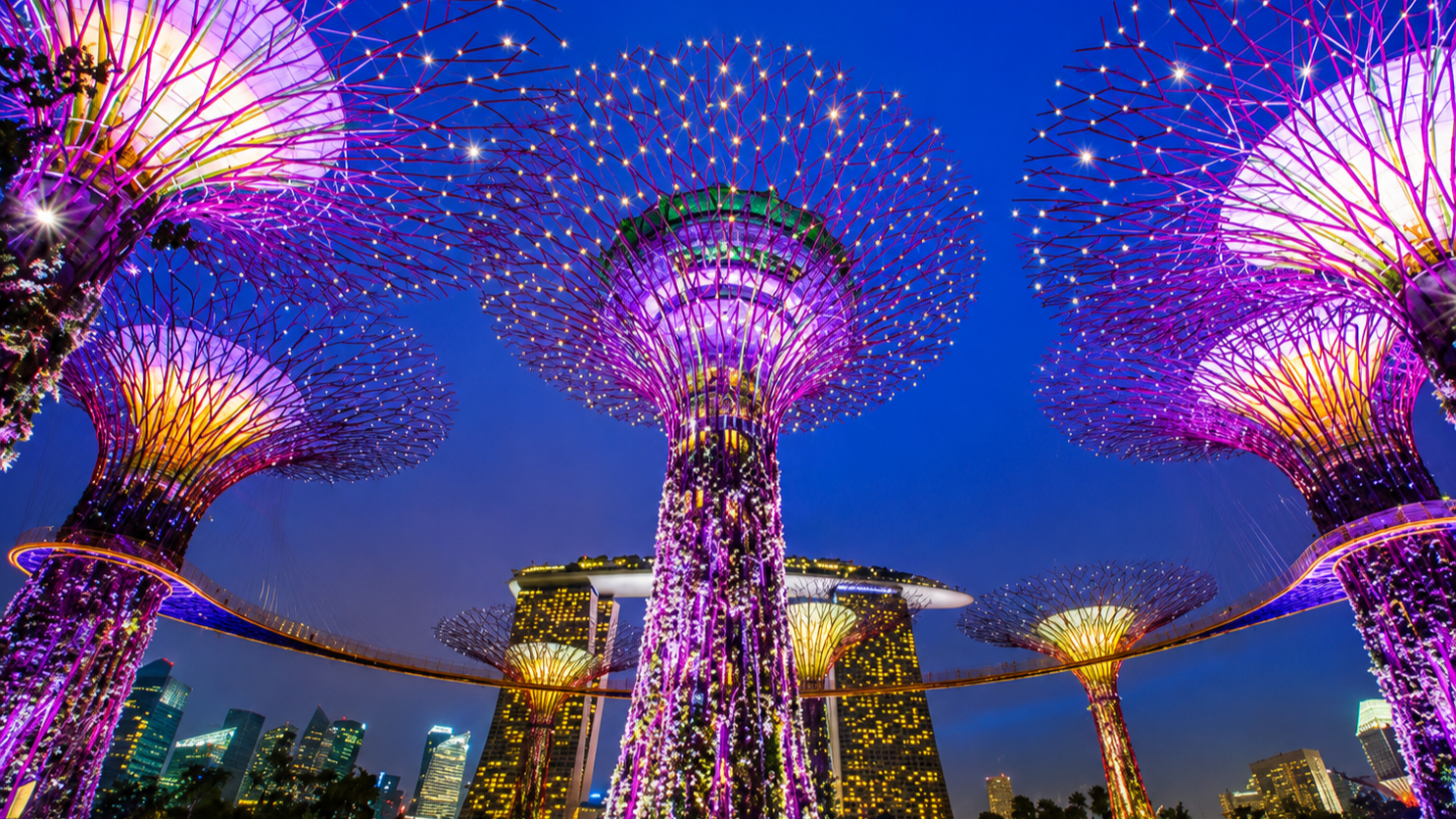 Singapore Travel Guide: A Compact, Polished City Getaway